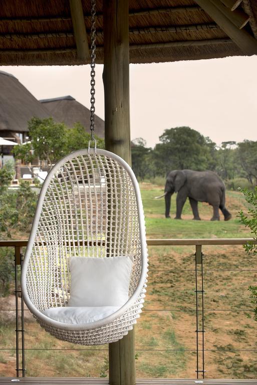 Mhondoro Safari Lodge & Villa Welgevonden Game Reserve Luaran gambar