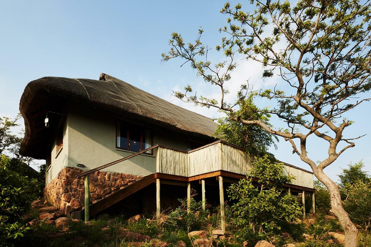 Mhondoro Safari Lodge & Villa Welgevonden Game Reserve Luaran gambar
